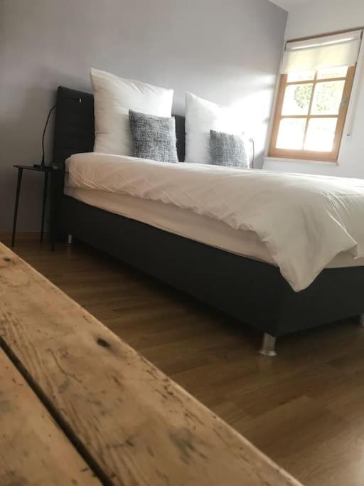 Nonntal Apartment